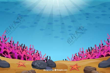 创意海底珊瑚和鱼群风景