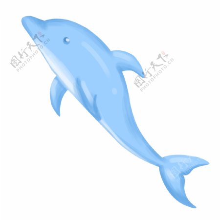 漂亮蓝色海豚