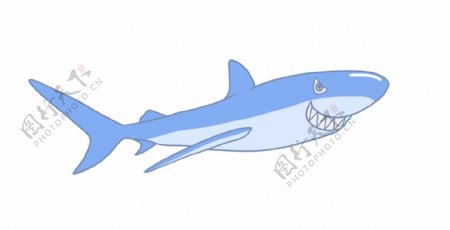 蓝色海洋鲨鱼