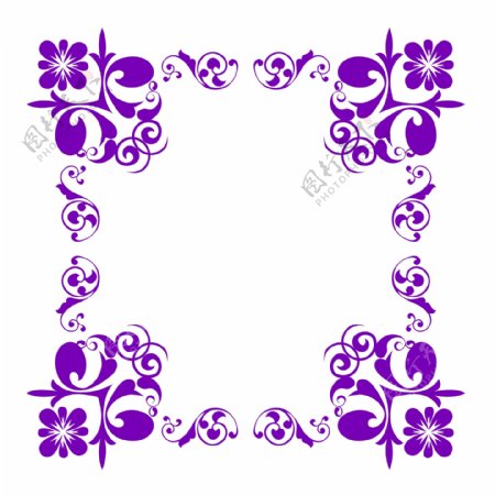 紫色花朵花藤插图
