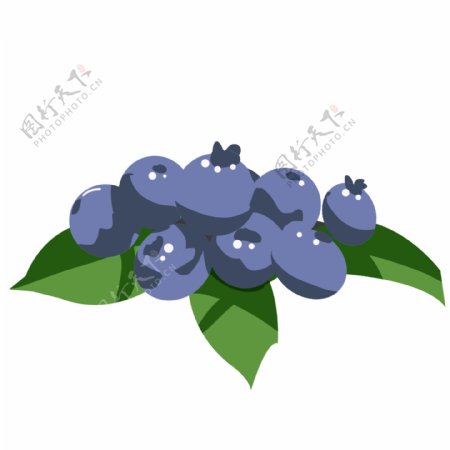 蓝色鲜艳蓝莓