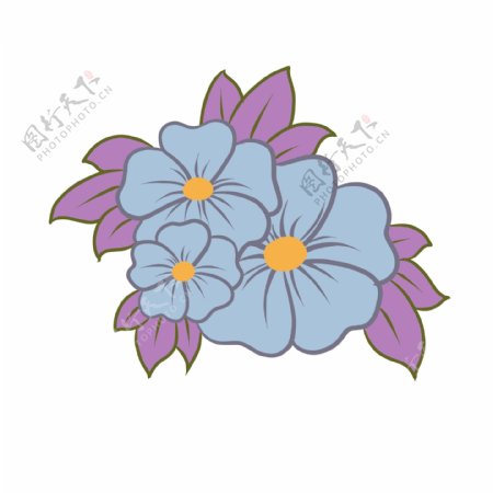 紫蓝色花朵植物