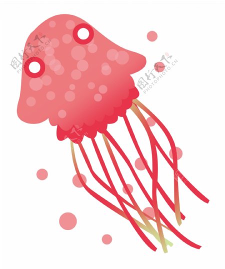 红色水生水母