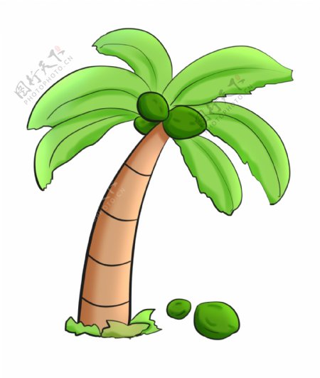 夏天暑假大海椰子树