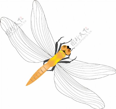 翅膀浅色系蜻蜓插画