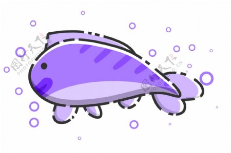 紫色鱼类动物