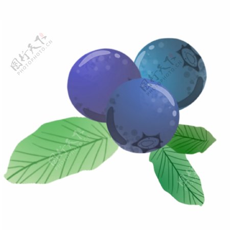 紫色营养蓝莓