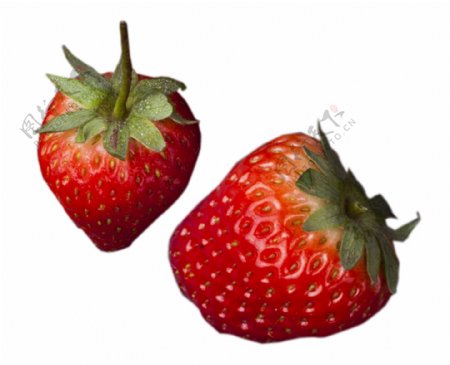 好吃的草莓春天水果