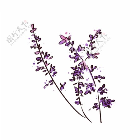 夏季紫色花束植物