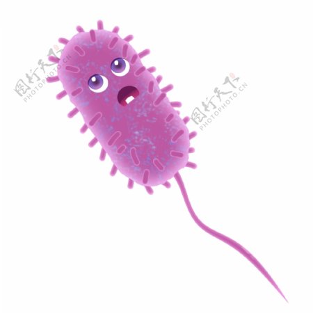 紫色长尾病毒细菌