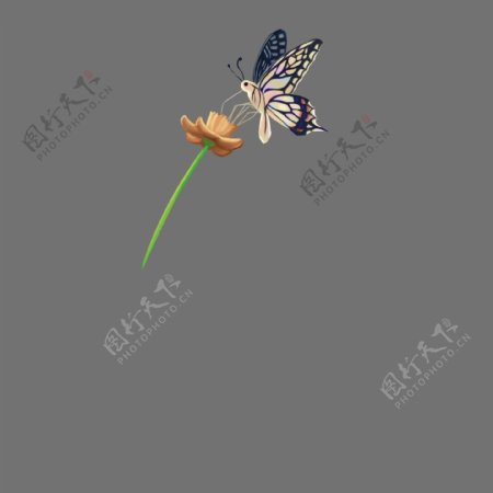 采花的蝴蝶装饰插画