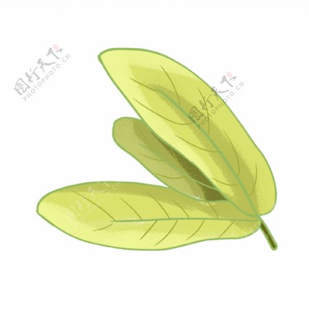 黄绿色长形叶子插画