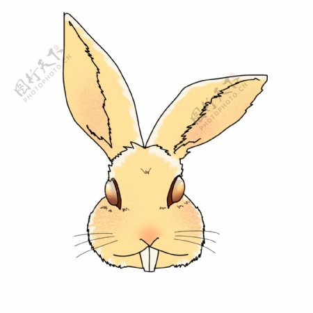 黄色立体复活节兔子