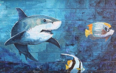 鲨鱼墙上涂鸦
