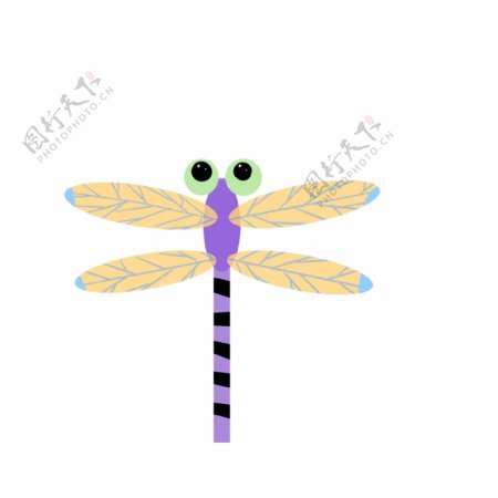 紫色蜻蜓