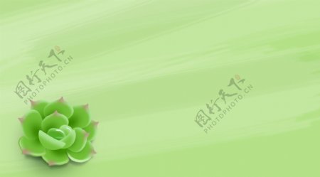 手绘绿色盆栽植物插画背景