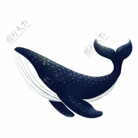 卡通蓝色海豚海洋生物
