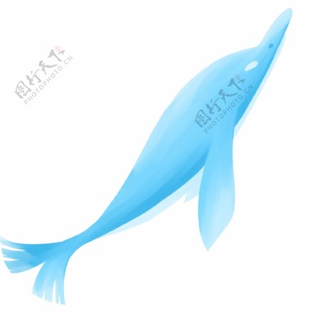 蓝色海豚鲸鱼插画