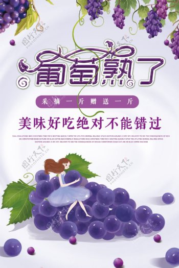葡萄水果海报