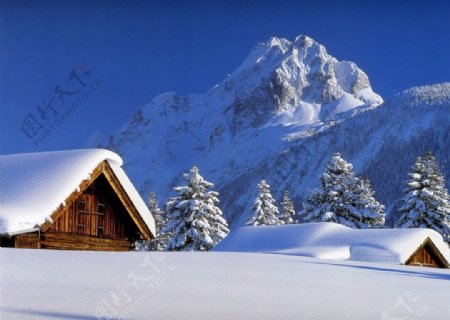 唯美冬日雪景纯白绝美