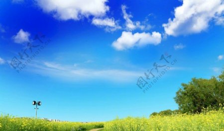 清新唯美春日风光