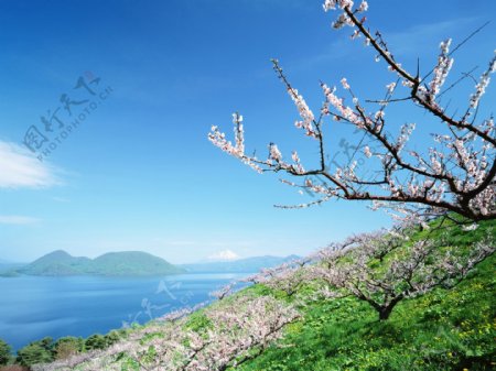 精选北海道风景摄影