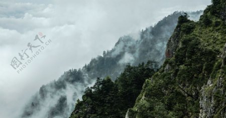 神农架神农顶风景