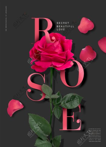 玫瑰花花创意海报