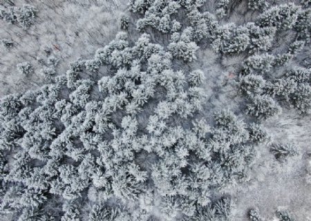 冰天雪地