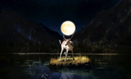 月亮和鹿