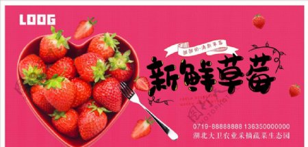 新鲜草莓采摘园水果海报