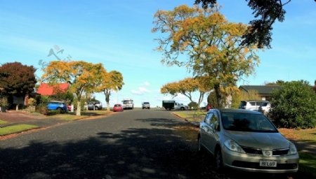新西兰小镇秋天风景