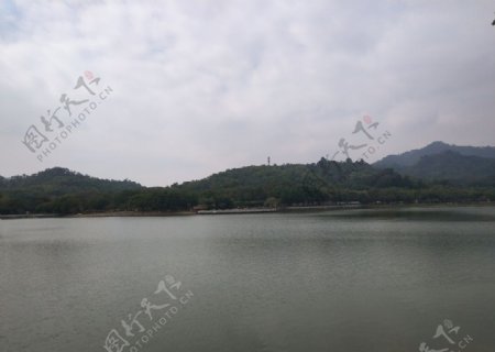 大夫山湖边水景摄影图