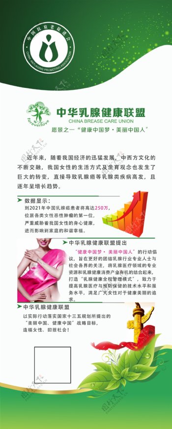 中国乳腺健康联盟
