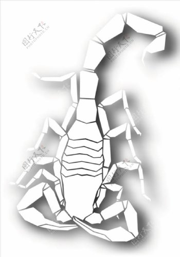 昆虫系列蝎子