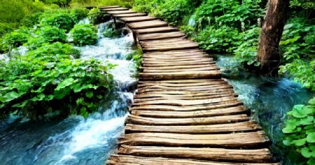 溪边木头小桥