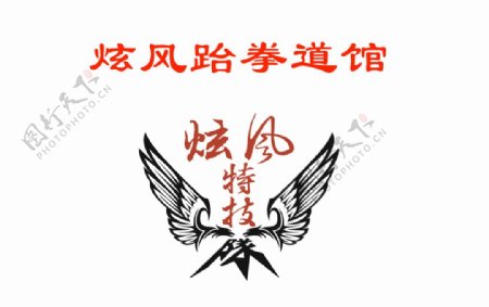 炫风跆拳道馆馆旗