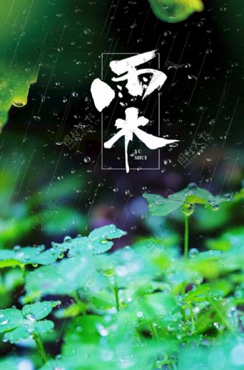 雨水