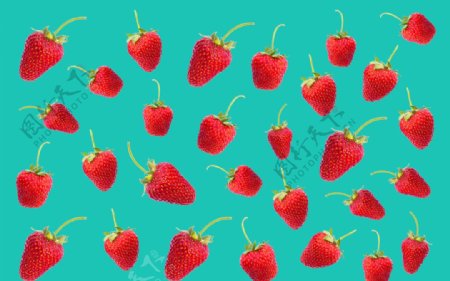 草莓设计