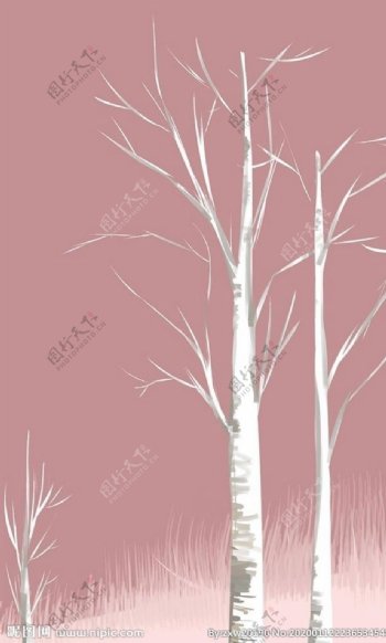 白桦树枝
