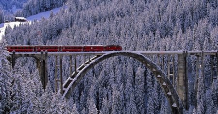 森林火车大桥风景