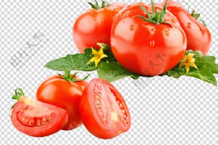 西红柿大西红柿