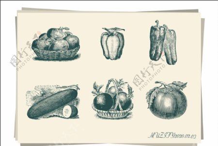 6款入蔬菜手绘稿