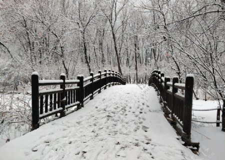 雪中的桥
