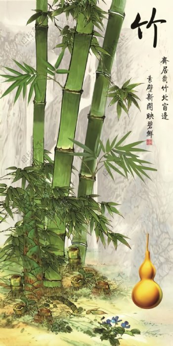 葫芦竹子