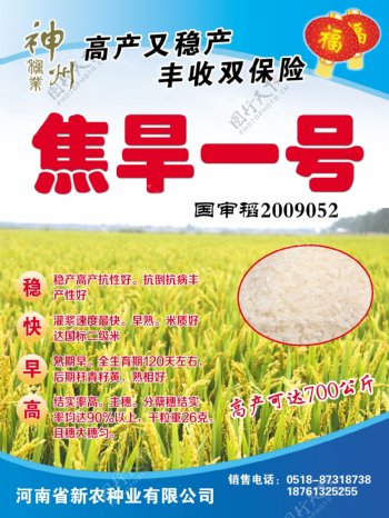大米水稻