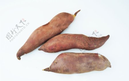 红薯地瓜番薯
