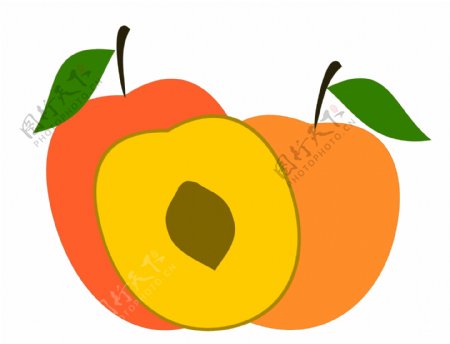 矢量杏子