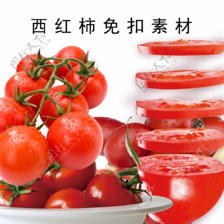 西红柿免扣素材