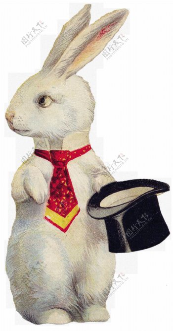 动物兔子油画
